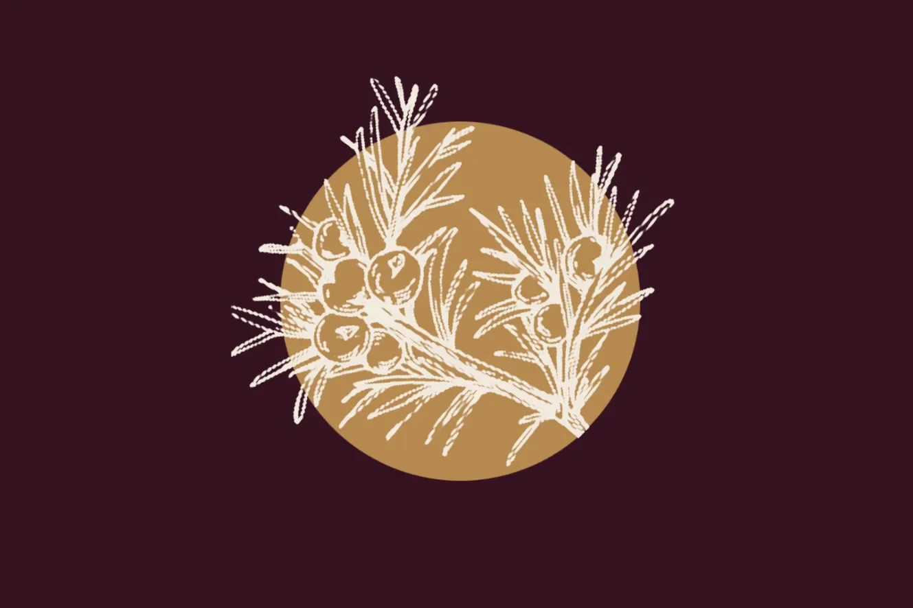 Ginebró (2n cap de setmana) | Espurnes Barroques