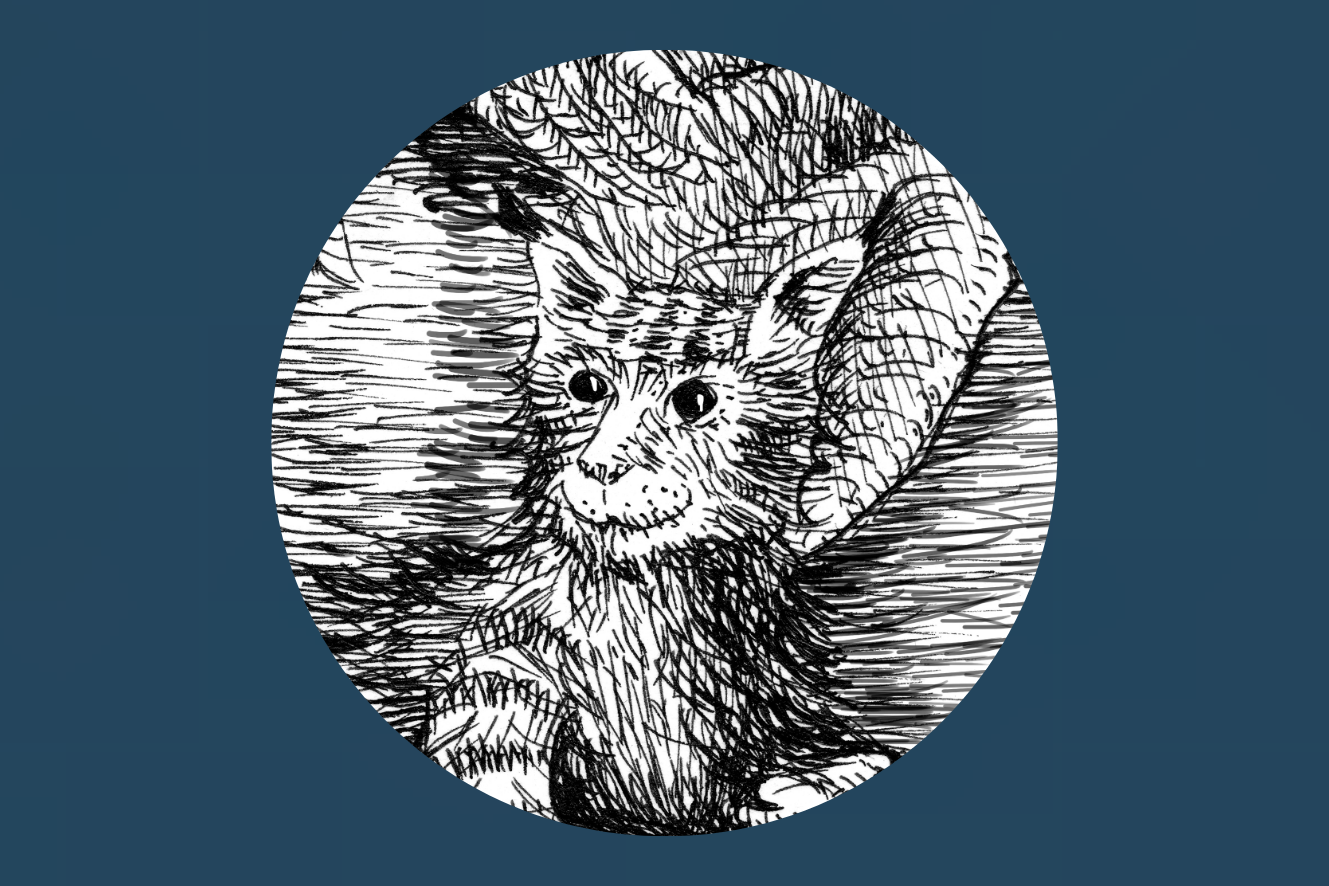 Primer cap de setmana | Espurnes Barroques