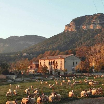 Cal Pauet | Espurnes Barroques