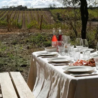 Celler Comalats | Espurnes Barroques