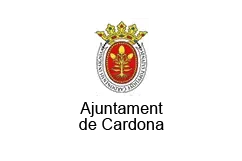 Ajuntament de Cardona | Espurnes Barroques