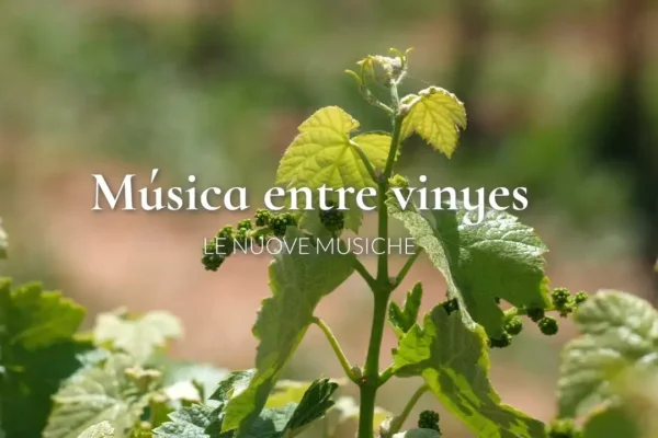 Música entre vinyes | Le Nuove Musiche al Celler Fargas-Fargas | 2024