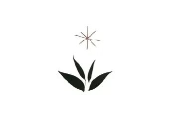 Comunitat benedictina del Miracle | Espurnes Barroques