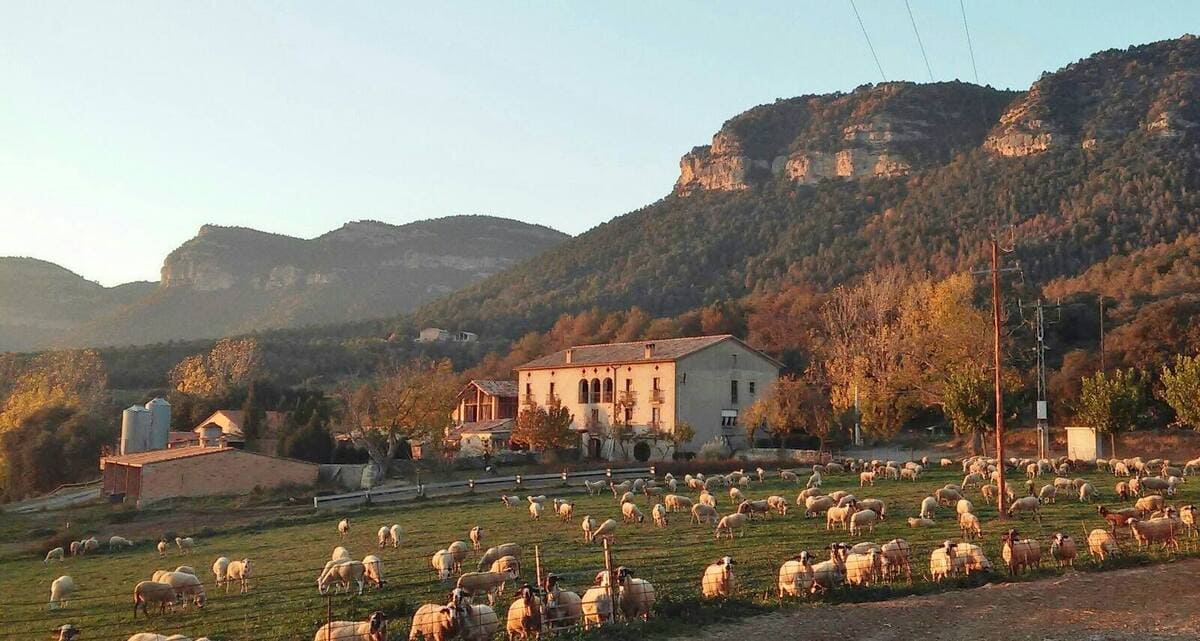 espai: Cal Pauet | Espurnes Barroques