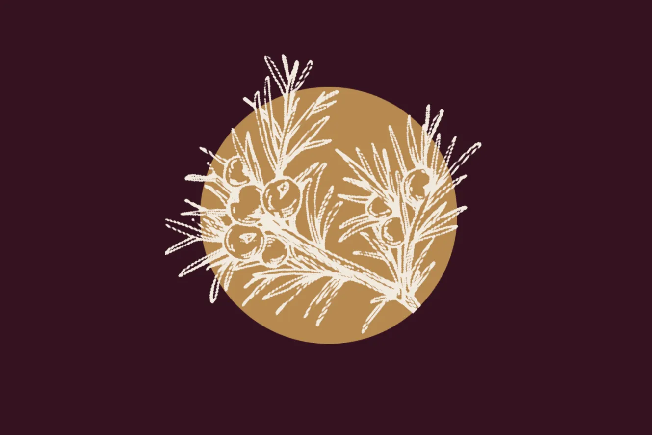 Ginebró (2n cap de setmana) | Espurnes Barroques