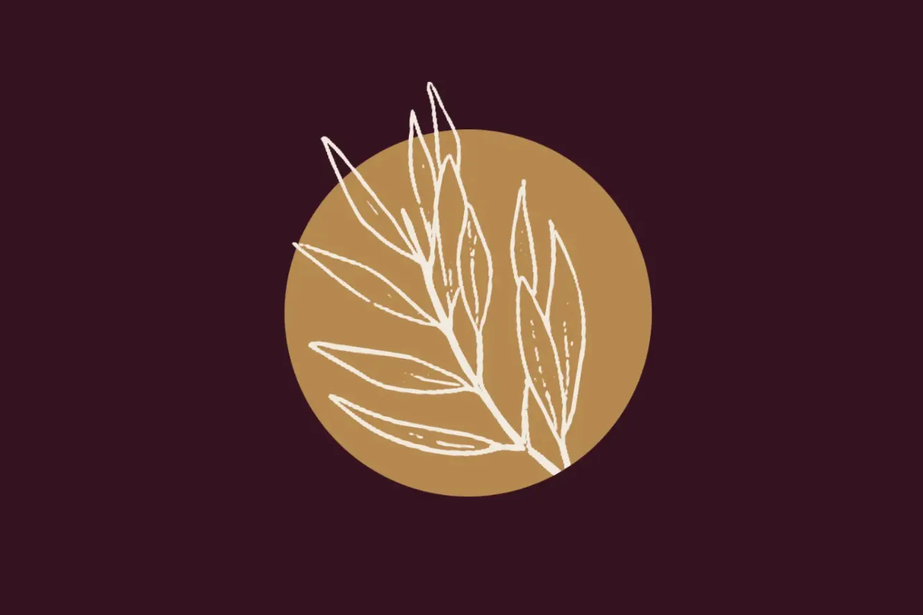 Olivera (3r cap de setmana) | Espurnes Barroques