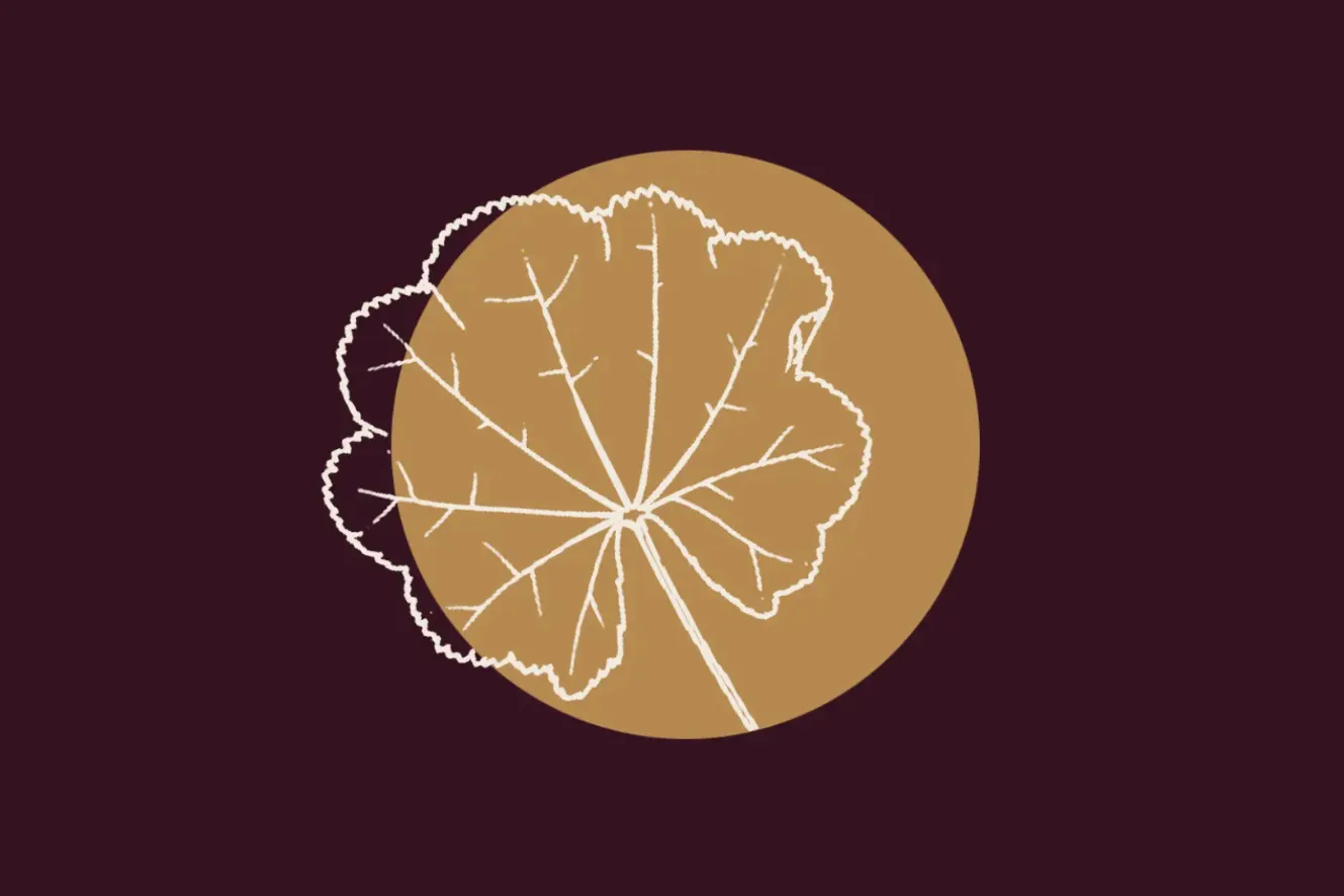 Malva (4t cap de setmana) | Espurnes Barroques