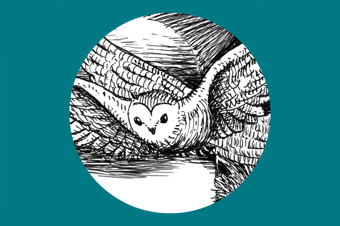 Tercer cap de setmana | Espurnes Barroques