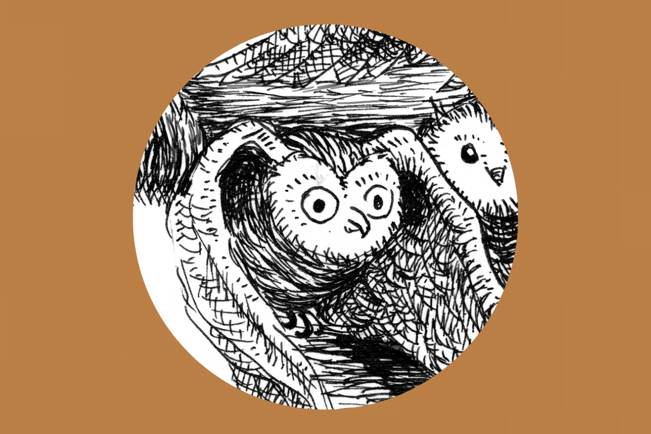 Quart cap de setmana | Espurnes Barroques