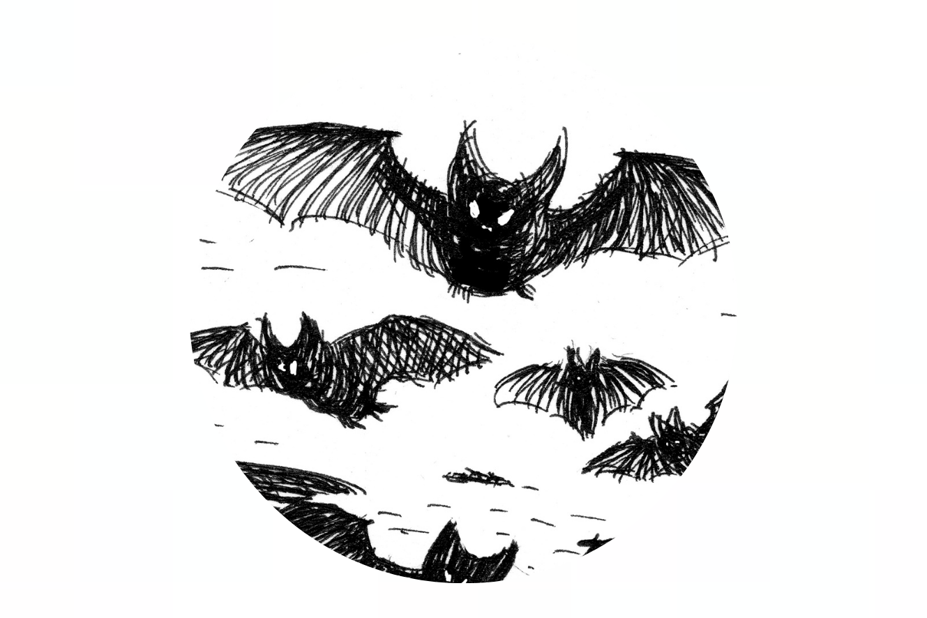 Amics | Espurnes Barroques